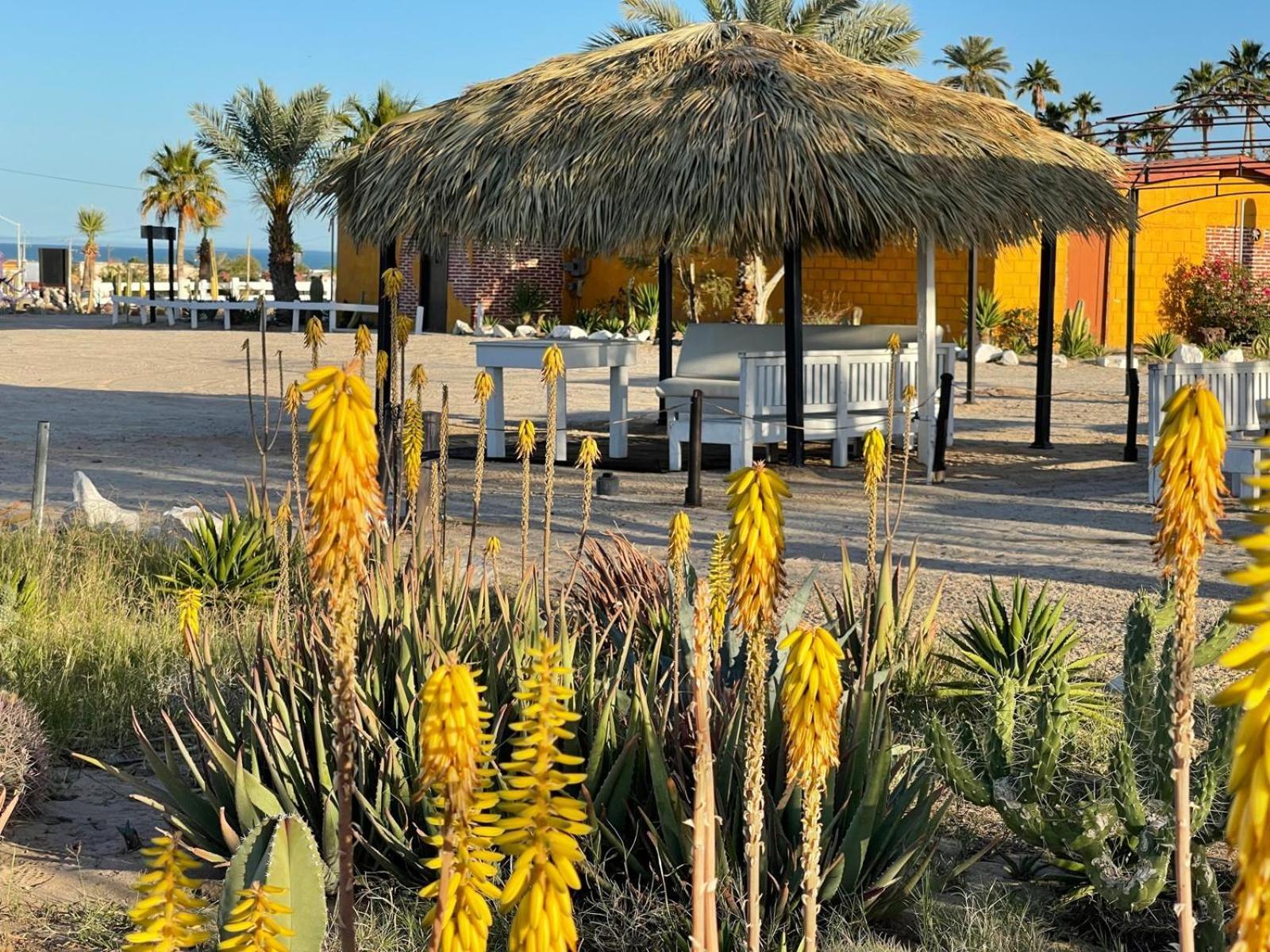 Hotel Las Palmas San Felipe  Kültér fotó