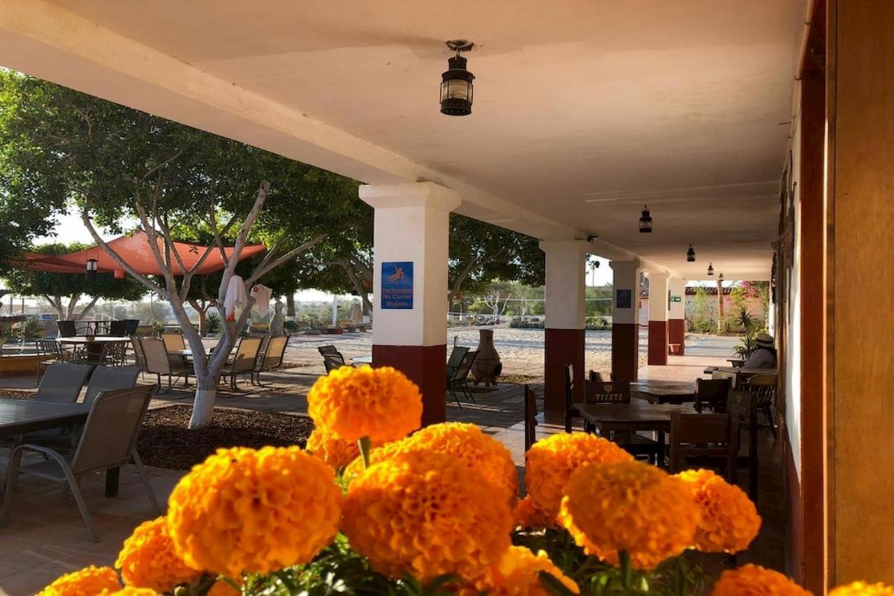 Hotel Las Palmas San Felipe  Kültér fotó